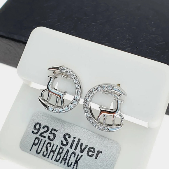 "925 sterling silver luxury CZ earrings for women/girls, Best for RJUS2226 - Picture 8 of 10